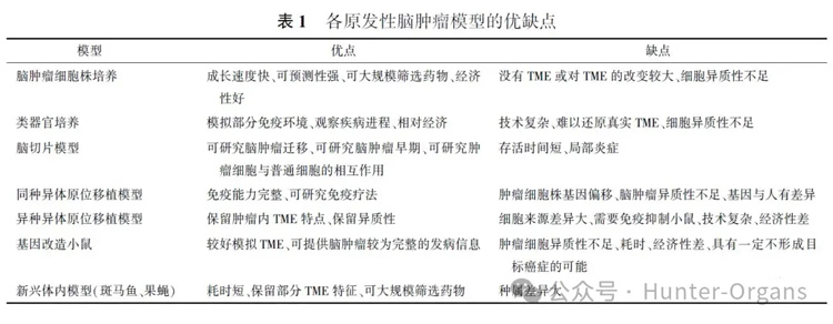 1766745347233965.jpg 1.jpg