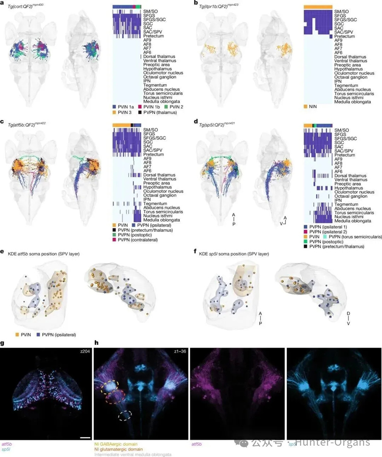 1770085612171926.jpg 2.jpg