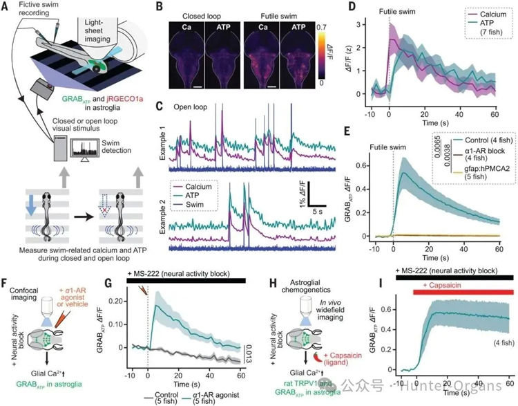 1770085617545572.jpg 4.jpg