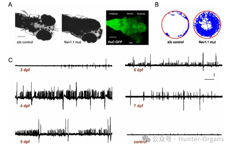 1772246141173760.jpg 8.jpg