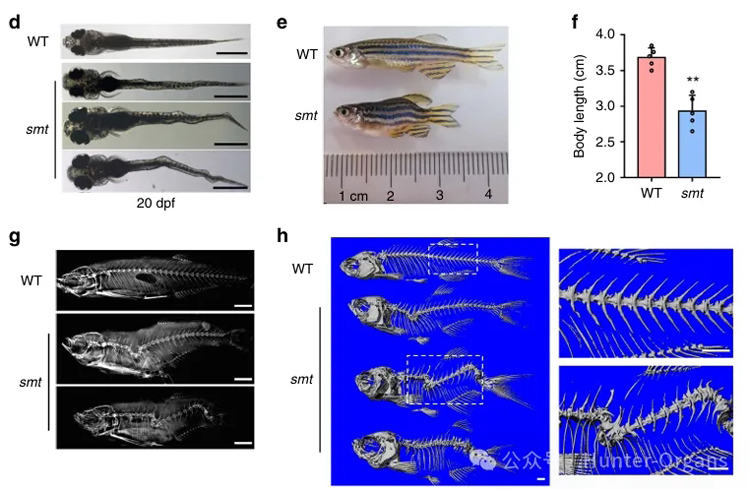 1772246159104455.jpg 3.jpg