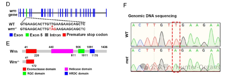 1772246167101911.jpg 1.jpg