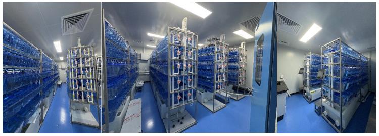 佛山市南海区人民医院36套斑马鱼养殖系统